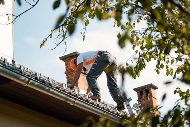 Best Roof Repair Services  in Casselton, ND