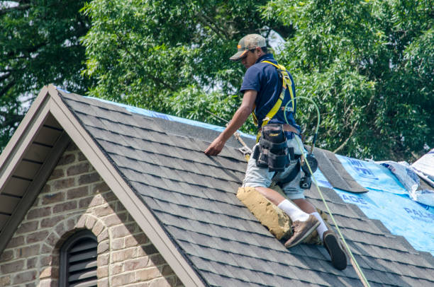 Professional Roofing Contractor in Casselton, ND