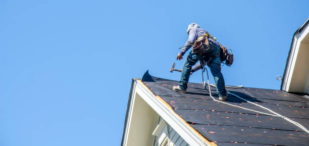 Best Storm Damage Roof Repair  in Casselton, ND